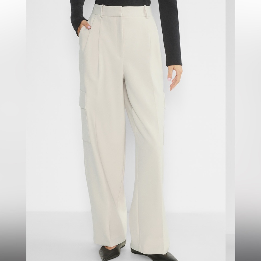 Aritzia Babaton Spotlight Cargo Pant